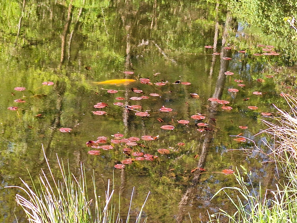 24 Stunden Privat See